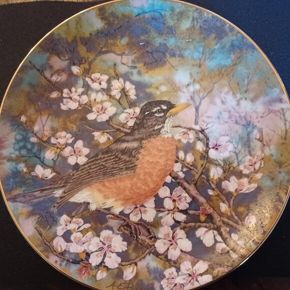 Songbirds of the South American Robin Wall plate - Picture 1 of 2
